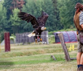 P_193212_DxO