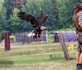 P_193212_DxO