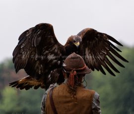 P_193243_DxO