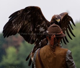 P_193245_DxO