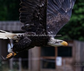 P_193607_DxO