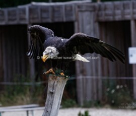 P_193639_DxO