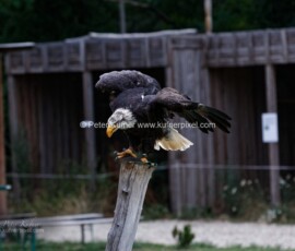 P_193640_DxO