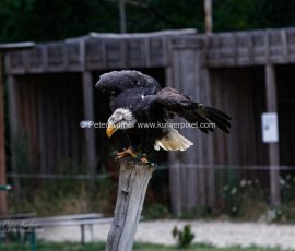 P_193640_DxO