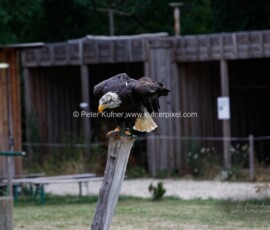 P_193641_DxO