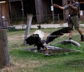 P_193669_DxO