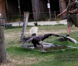 P_193670_DxO