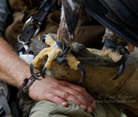 P_193747_DxO