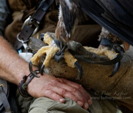 P_193747_DxO