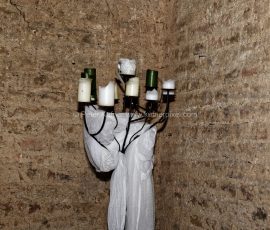 P_196829_DxO